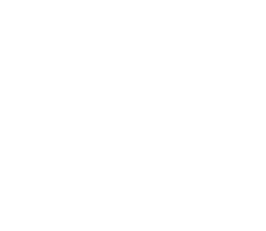 Whales Ventures